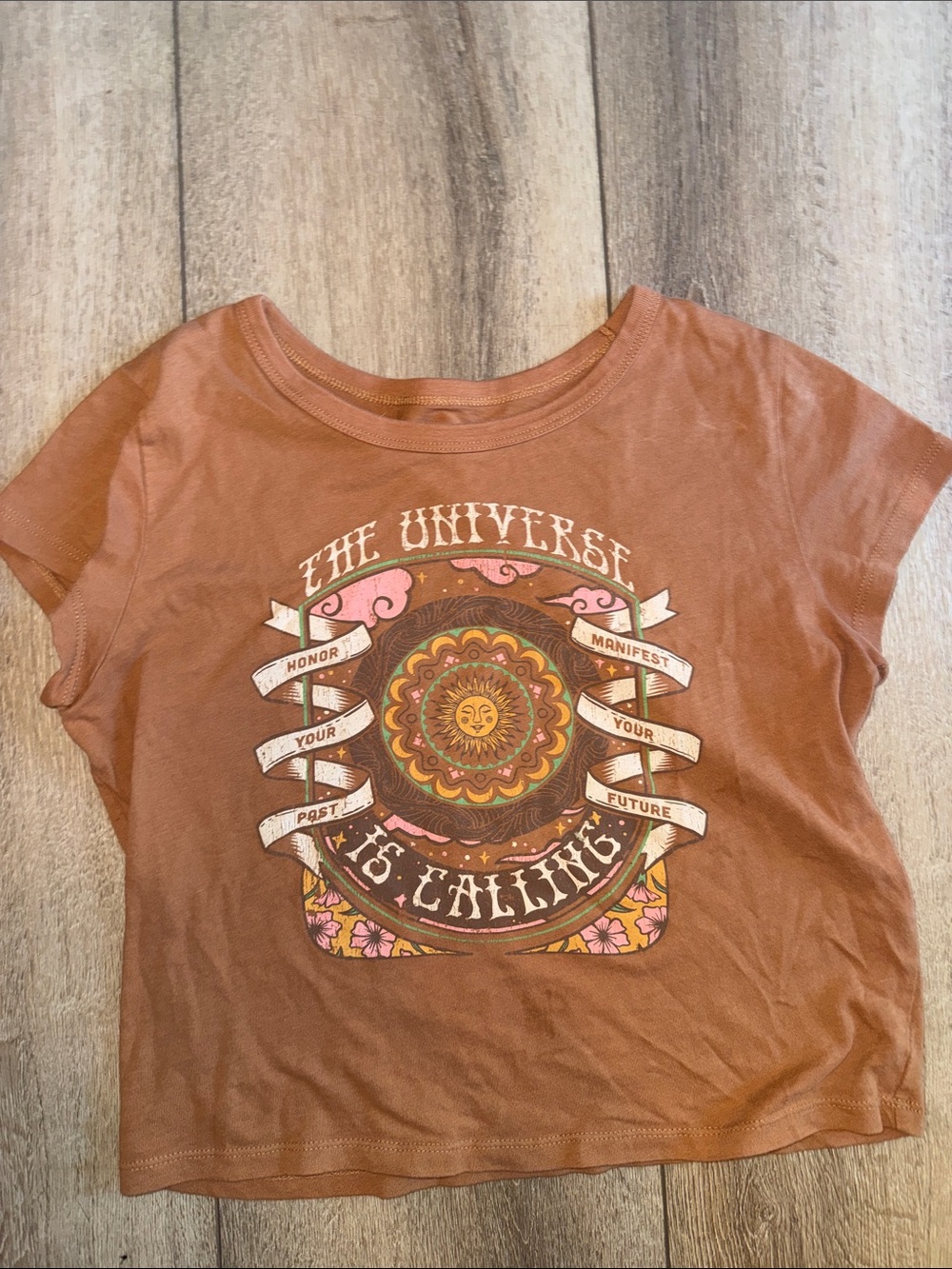 Hollister Graphic Crop baby Tee
